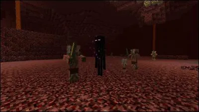 Quels sont les nouveaux blocs du nether 2 ?