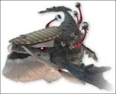 Comment appelle-t-on cette créature ?