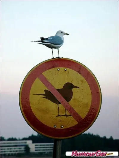 Jusqu'à présent, personne n'a vraiment compris le véritable sens de cette citation !