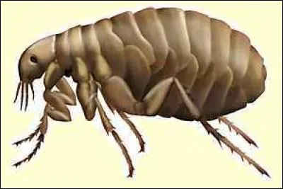 Prenez une bonne inspiration, et ensuite quelques pas d'&eacute;lan !