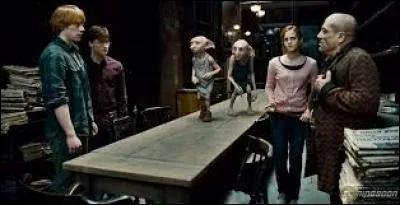 Qui possède le vrai médaillon de Serpentard après l'avoir acheté à Mondingus Fletcher ?