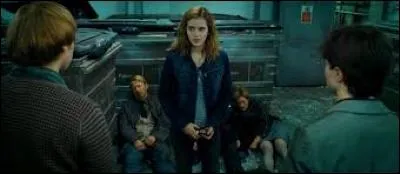 En qui Harry, Ron et Hermione se sont-ils transformés pour pénétrer dans le ministère ?