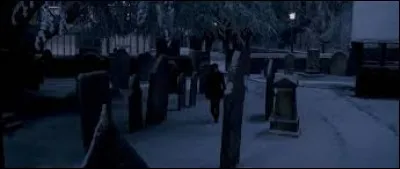 Pourquoi Harry et Hermione vont-ils à Godric's Hollow après le départ de Ron ?