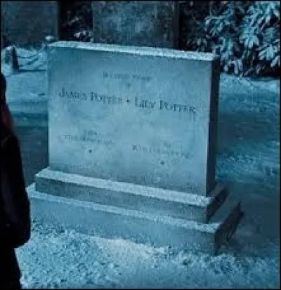 Quelles familles sont enterrées à Godric's Hollow ?
