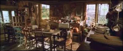 Quelle tâche Harry, Ron et Hermione doivent-ils accomplir cette année ?