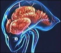 Dans quel(s) "Metroid prime" le retrouve-t-on entier, en partie ou sous une autre forme ?