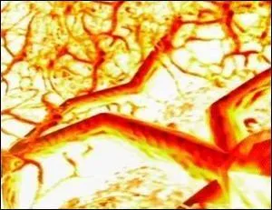 Et là, qu'est-ce c'est ?