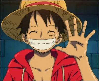 Comment se nomme le héros de "One Piece" ?