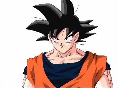 Comment se nomme le héros de "Dragon Ball Z" ?
