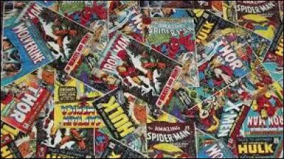 Dans quel État des États-Unis d'Amérique risquez-vous d'aller en prison si vous lisez des BD ou des comics en voiture ?