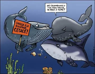 Dans quels États des États-Unis d'Amérique avez-vous le droit de tirer au fusil sur une baleine et ce depuis votre voiture ?