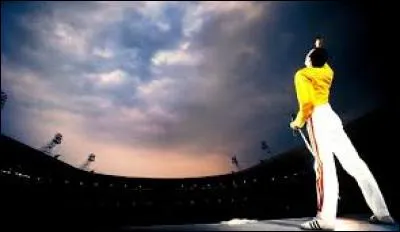 Lors de quel concert Freddie Mercury était-il déguisé en roi ?