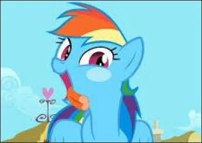 De quel "pays" vient Rainbow Dash ?