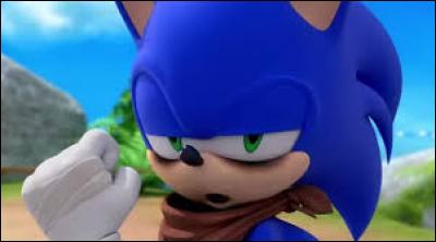 Quel est le titre de Sonic Boom épisode 30 ?