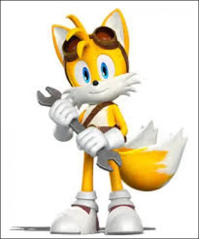 Tails est un :