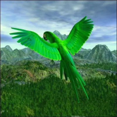 Comment désigne-t-on la couleur verte en anglais ?