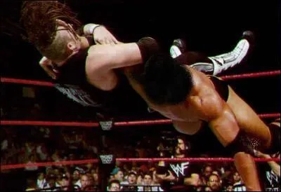 Quelle est cette prise de finition ?