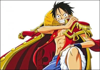 Quel est le nom de famille Luffy ?