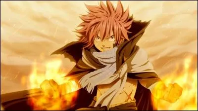 Quel est le nom de famille de Natsu ?