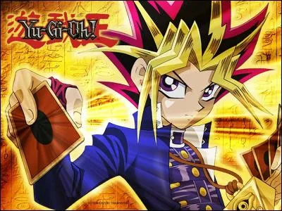 Quel est le nom de famille de Yugi ?