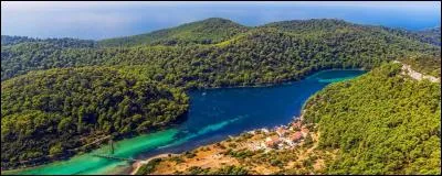 L'île de Mljet est une île située entre l'île de Korčula et la ville de Dubrovnik. Elle est la plus boisée de l'Adriatique. A quel pays appartient-elle ?