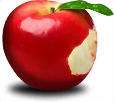 Cette pomme a été rongée par mon ami, on peut aussi dire qu'elle s'est fait...