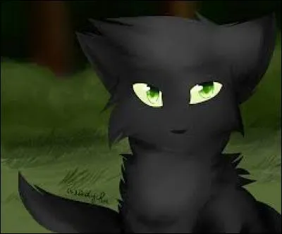 Qui est Nuage de Colombe pour Oeil de Geai et Pelage de Lion ?