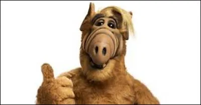 Quelle est la nourriture préférée de Alf ?