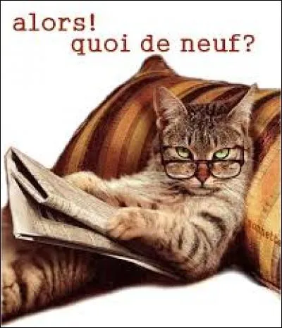 Quoi de neuf ? Que deviens-tu ? Comment va ta famille ?