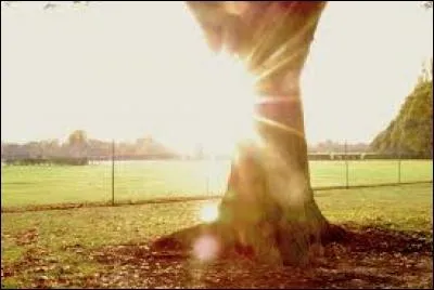 __-ce le plus beau jour de votre vie ?