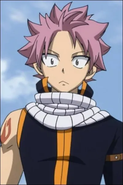 Qui est le doubleur de Natsu ?