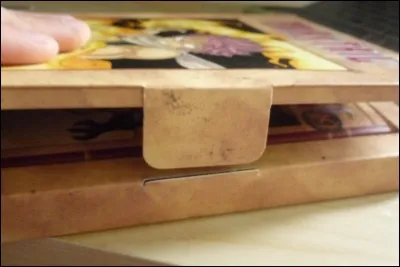 Que trouve-t-on dans le collector du tome 19 ?