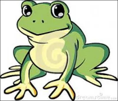 La grenouille...