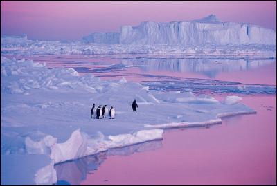 Quelle était la nationalité de Roald Amundsen, explorateur resté célèbre pour avoir été le premier à atteindre le pôle Sud ?