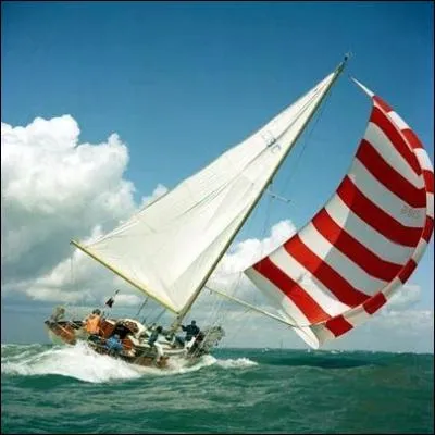 Vous faites du voilier. La mer s'énerve un peu, tout l'équipage ou presque est malade, pas vous. Le skipper vous demande d'aider à passer les seaux... Votre réaction ?