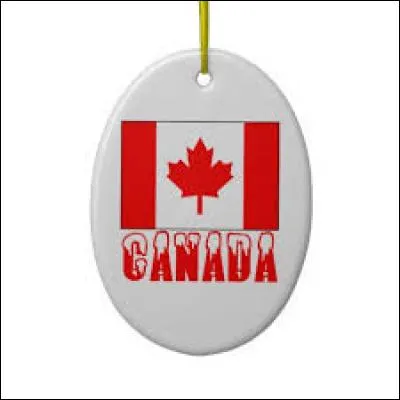 Vous avez programmé un voyage au Canada avec votre meilleur(e) ami(e), mari/épouse, enfant... au choix..., et avez intégralement payé l'Agence de voyage. Un empêchement de dernière minute vous interdit de partir, mais ne constitue pas un motif légitime de remboursement. Que faites-vous ?