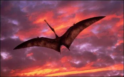 Quand les ptérosaures (reptiles volants) ont-ils disparu ?