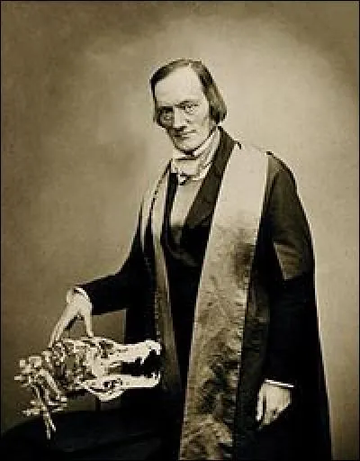 Quelles sont les trois espèces pour lesquelles Richard Owen a créé le nom de "Dinosauria" en 1842 ?