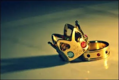 Après avoir demandé la permission au roi, que lui répond ce dernier ?