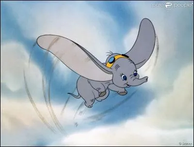 Selon l'abbé Dicquemare, les plus grands os fossilisés découverts, devaient autrefois appartenir à :