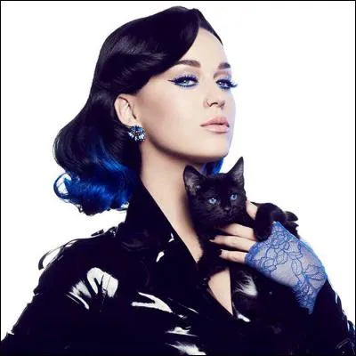 Avec qui Tartinex n'a jamais jamais joué ?