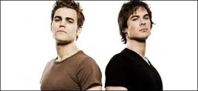Comment s'appellent les deux fr&egrave;res Salvatore dans la s&eacute;rie "Vampire Diaries" ?
