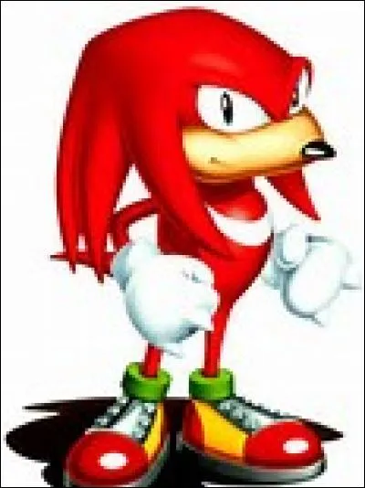 Il est le chef des Chaotix. Il est aussi le descendant d'une tribu de grands guerriers et il garde un joyau géant Qui est-ce ?