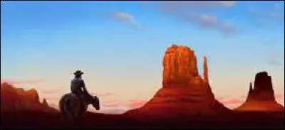 A quel pays fait-on allusion généralement quand on parle de "Conquète de l'Ouest" ou de "Far West" ?