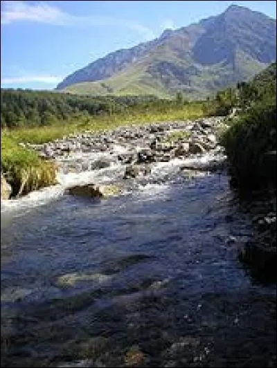 Quels animaux remontent les rivi&egrave;res pour pouvoir s'accoupler ?