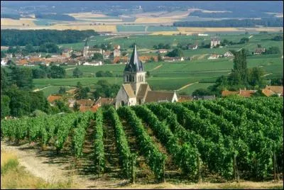 Quelle est la particularité du sol des vignobles champenois ?