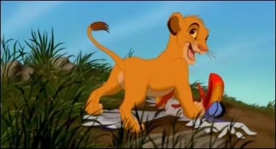 Mufasa apprend quoi &agrave; Simba?