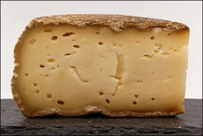 Les fromages d'alpage en Savoie sont un régal. Lequel est le fromage "termignon" ?