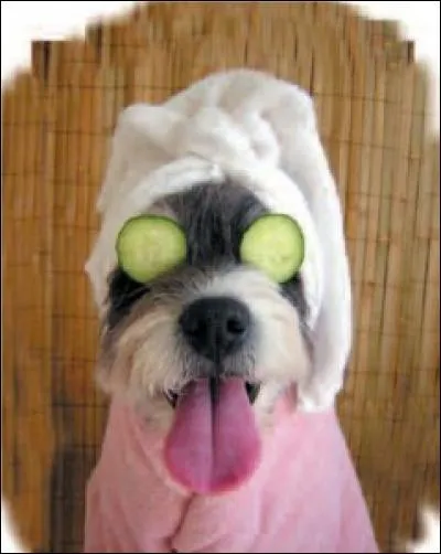 Entre un mascara waterproof et des faux-cils, vous choisissez... ?