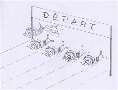 Avec ses incroyables performances, cette limace parcourt 1km en...